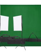 vidaXL Фотографски комплект за студио с комплект лампи и фон