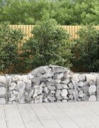 vidaXL Габионни кошници арка 13 бр 200x50x60/80 см поцинковано желязо