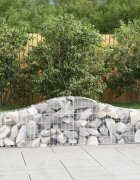 vidaXL Габионни кошници арка 14 бр 200x30x40/60 см поцинковано желязо