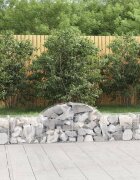 vidaXL Габионни кошници арка 18 бр 200x30x40/60 см поцинковано желязо