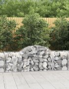 vidaXL Габионни кошници арка 40 бр 200x50x60/80 см поцинковано желязо