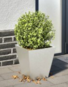 vidaXL Градинска кашпа 30x30x30 см неръждаема стомана