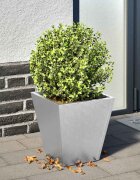vidaXL Градинска кашпа 30x30x30 см поцинкована стомана