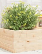 vidaXL Градинска кашпа 40x40x23 см масивна борова дървесина
