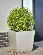 vidaXL Градинска кашпа 50x50x50 см неръждаема стомана