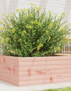 vidaXL Градинска кашпа 60x60x23 см дугласко дърво масив