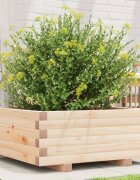 vidaXL Градинска кашпа 60x60x265 см масивна борова дървесина
