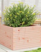 vidaXL Градинска кашпа 70x70x46 см масивна дугласка дървесина