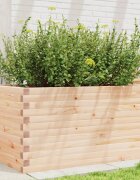 vidaXL Градинска кашпа 90x60x455 см масивна борова дървесина