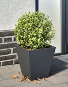 vidaXL Градинска кашпа антрацит 30x30x30 см стомана