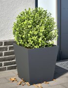 vidaXL Градинска кашпа антрацит 40x40x40 см стомана