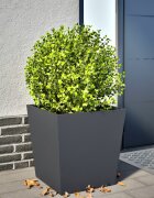 vidaXL Градинска кашпа антрацит 50x50x50 см стомана