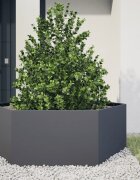 vidaXL Градинска кашпа антрацит шестоъгълна 138x120x45 см стомана