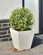 vidaXL Градинска кашпа бял 30x30x30 см стомана
