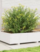 vidaXL Градинска кашпа бяла 100x100x265 см масивно борово дърво