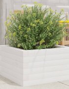 vidaXL Градинска кашпа бяла 40x40x23 см борово дърво масив