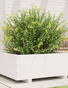 vidaXL Градинска кашпа бяла 70x70x265 см масивна борова дървесина