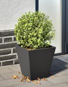 vidaXL Градинска кашпа черен 30x30x30 см стомана