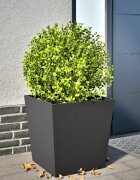 vidaXL Градинска кашпа черен 50x50x50 см стомана