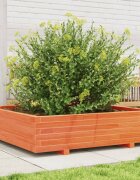 vidaXL Градинска кашпа восъчнокафява 100x100x265см борово дърво масив