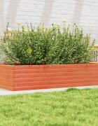 vidaXL Градинска кашпа восъчнокафява 110x60x23см борово дърво масив