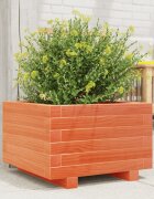 vidaXL Градинска кашпа восъчнокафява 40x40x265см борово дърво масив