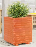 vidaXL Градинска кашпа восъчнокафява 40x40x495 см борово дърво масив