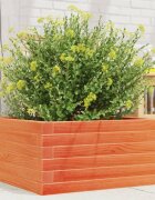 vidaXL Градинска кашпа восъчнокафява 50x50x23 см борово дърво масив