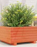vidaXL Градинска кашпа восъчнокафява 50x50x265см борово дърво масив