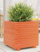 vidaXL Градинска кашпа восъчнокафява 50x50x495 см бор масив