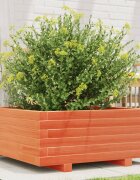 vidaXL Градинска кашпа восъчнокафява 60x60x265см борово дърво масив