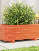 vidaXL Градинска кашпа восъчнокафява 70x40x265 см бор масив