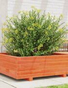vidaXL Градинска кашпа восъчнокафява 80x80x265 см бор масив