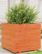 vidaXL Градинска кашпа восъчнокафява 80x80x72 см борово дърво масив
