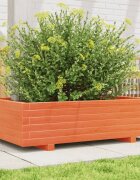 vidaXL Градинска кашпа восъчнокафява 90x60x265 см бор масив
