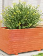 vidaXL Градинска кашпа восъчнокафява 90x60x495 см бор масив
