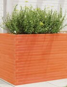 vidaXL Градинска кашпа восъчнокафява 90x60x685см борово дърво масив