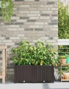 vidaXL Градинска саксия 2 бр. Кафяво 80 x 40 x 375 см ПП