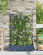 vidaXL Градинска саксия 2 бр. Сиво 80 x 40 x 1255 см ПП