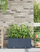 vidaXL Градинска саксия 2 бр. Сиво 80 x 40 x 375 см ПП