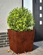 vidaXL Градинска саксия 50x50x50 cm от атмосферна стомана