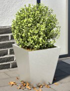 vidaXL Градински кашпи 2 бр 30x30x30 см неръждаема стомана