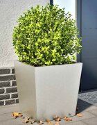 vidaXL Градински кашпи 2 бр 50x50x50 см неръждаема стомана