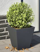 vidaXL Градински кашпи 2 бр антрацит 30x30x30 см стомана