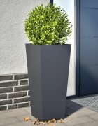 vidaXL Градински кашпи 2 бр антрацит 35x35x75 см стомана