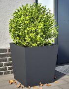 vidaXL Градински кашпи 2 бр антрацит 50x50x50 см стомана