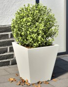vidaXL Градински кашпи 2 бр бели 30x30x30 см стомана