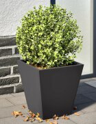 vidaXL Градински кашпи 2 бр черни 30x30x30 см стомана