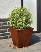 vidaXL Градински саксии 2 бр. 30x30x30 см Изветряла стомана