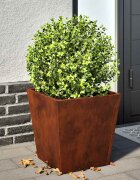 vidaXL Градински саксии 2 бр. 40x40x40 см Изветряла стомана
